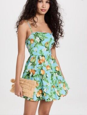 BB Dakota Summer Orchard Dress | Size US10